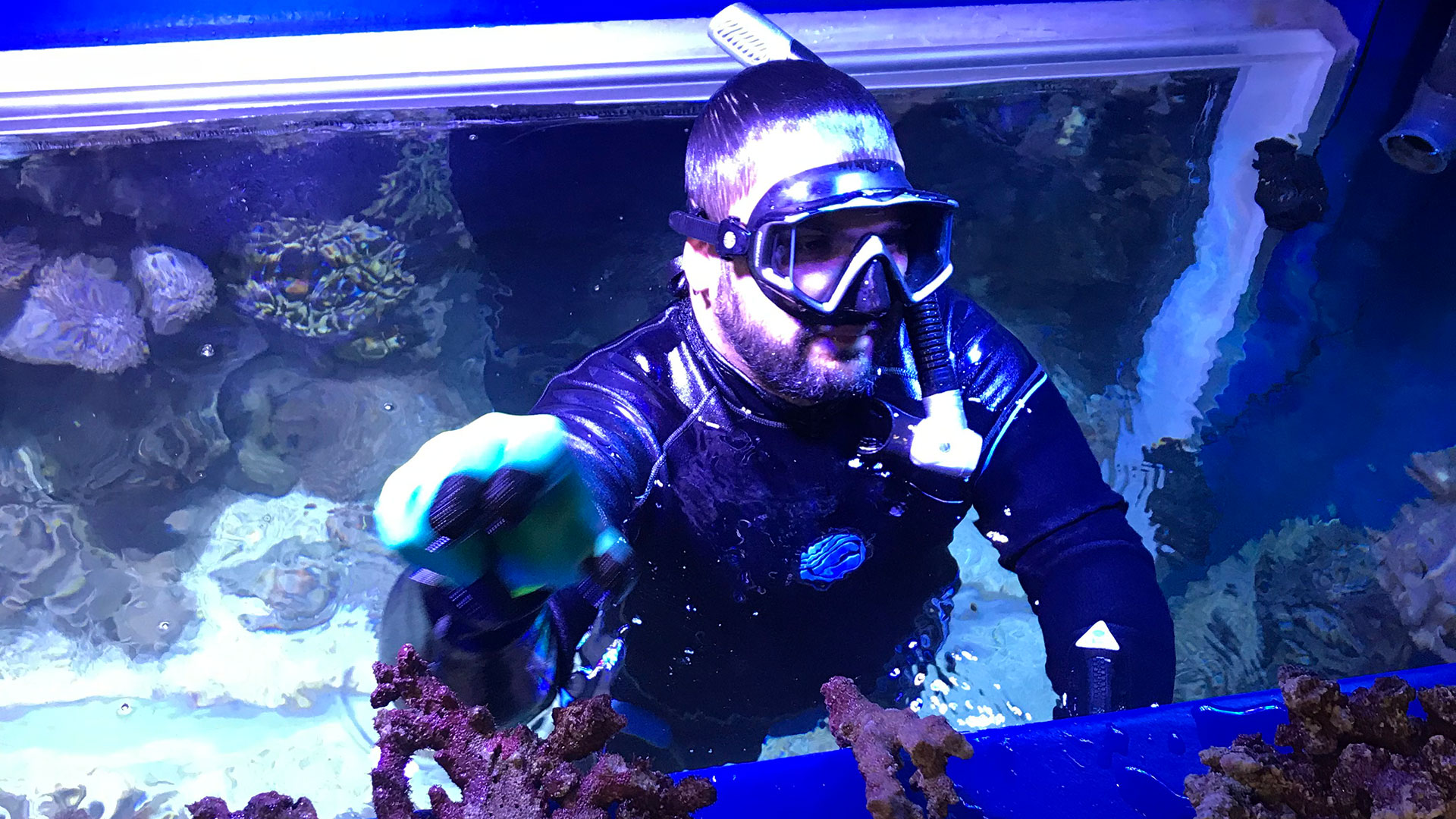 Manuel Romeo, senior aquarist at Oman Aquarium