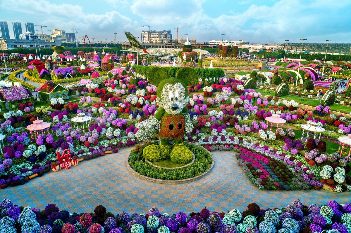 The world’s largest natural flower park Dubai Miracle Garden
