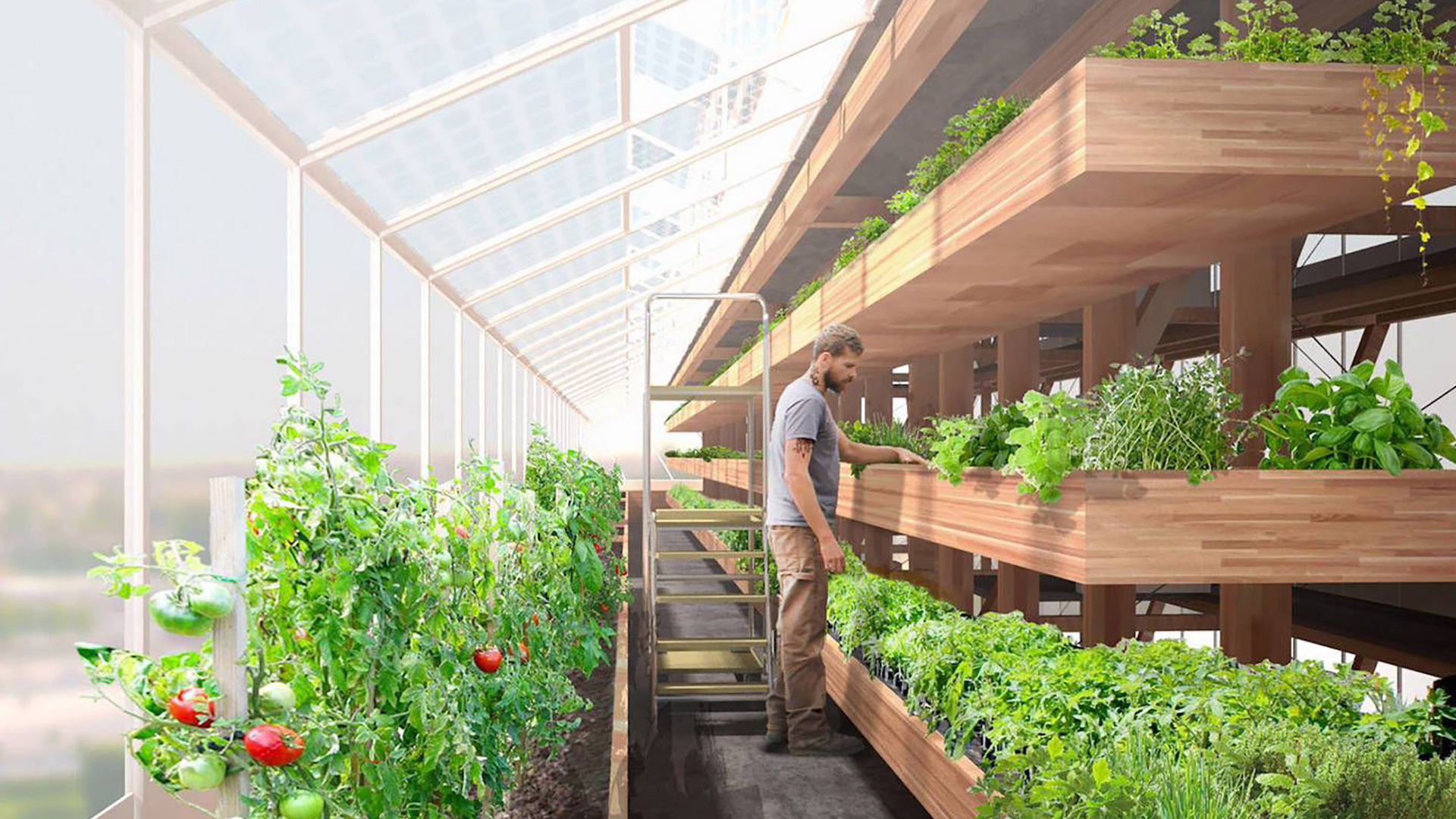 Agri-architecture, well-being and self-sufficiency