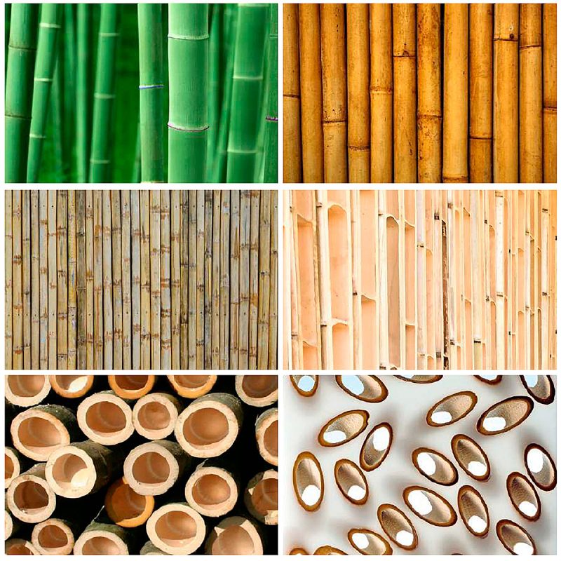 Bamboo as a building material Amusement Logic