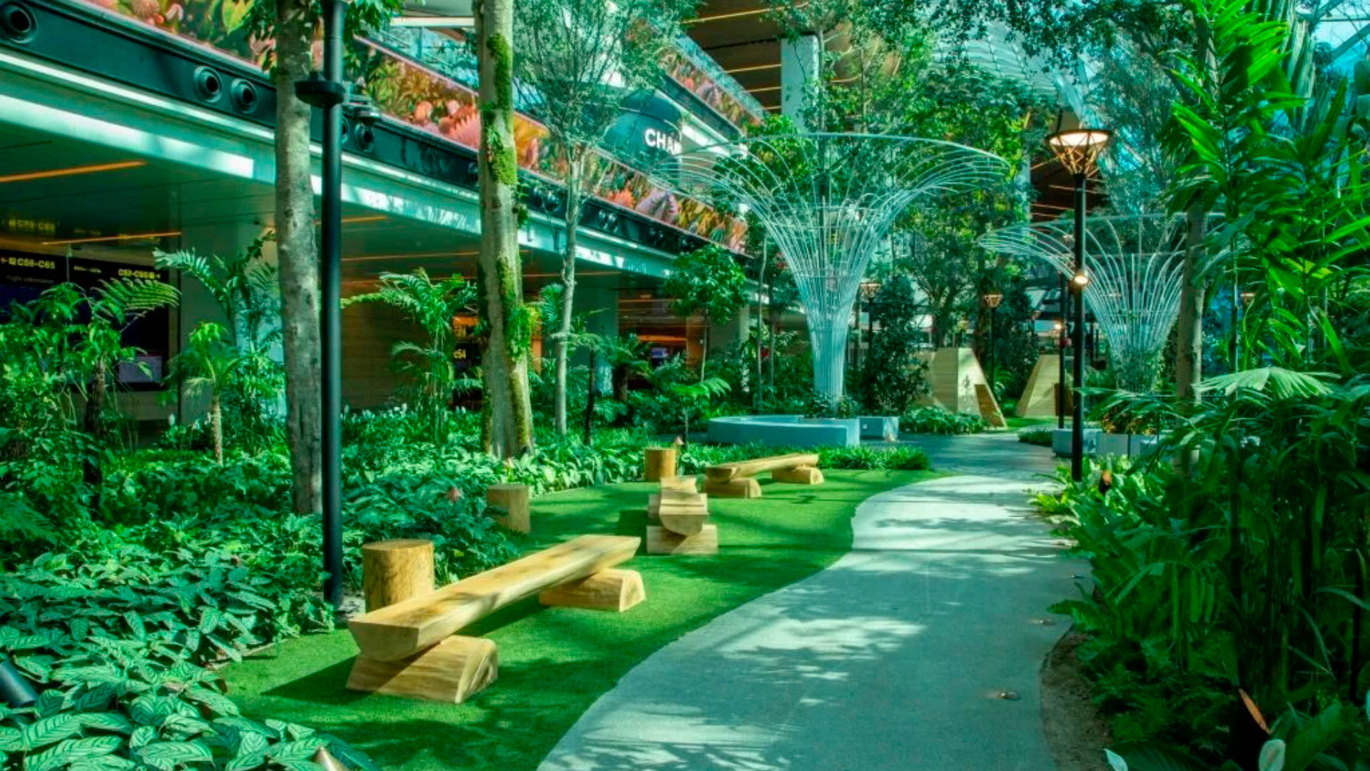 A rainforest at Hamad International Airport, Qatar