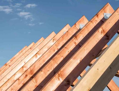 Evolution of timber in construction: from the Middle Ages to the 21st Century