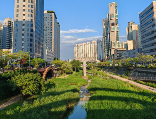 Urban renaturalisation: Cheonggyecheon, Seoul, South Korea