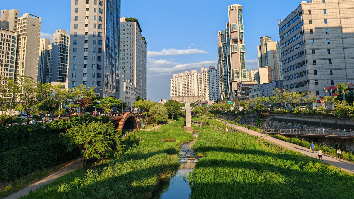 Urban renaturalisation: Cheonggyecheon, Seoul, South Korea