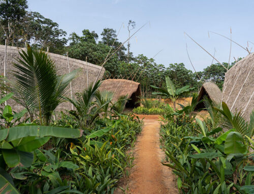 Handmade architecture: Warka Village, Cameroon, Africa