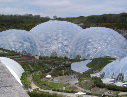 Biodomes in the desert: architecture as a climate frontier in the UAE