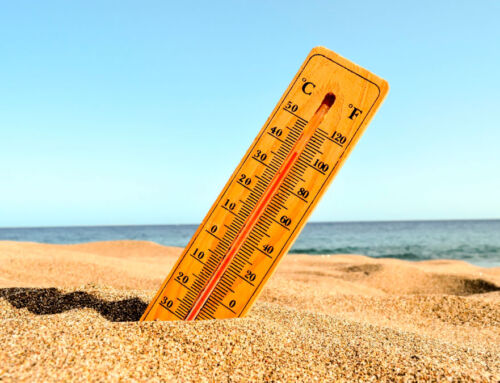 Climate shelters, the answer to the “urban heat island”.