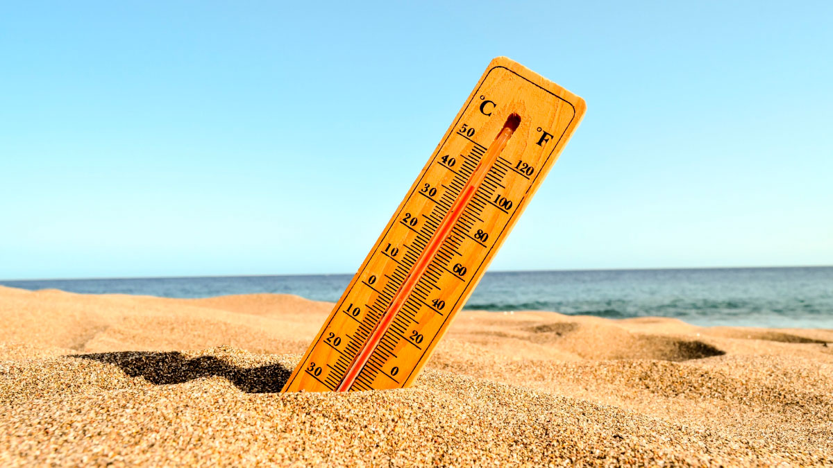 Climate shelters, the answer to the “urban heat island”.