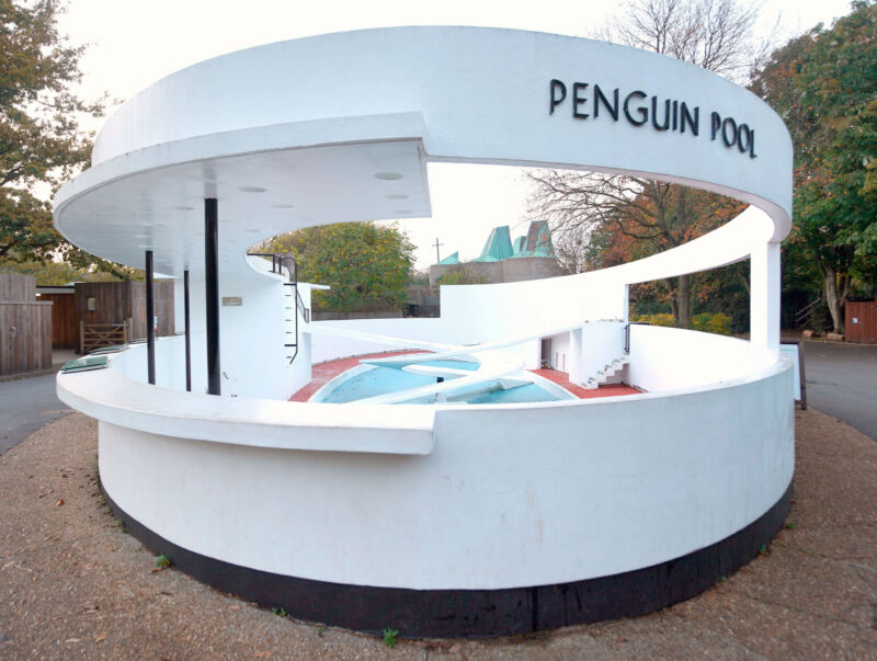 Lubetkin Penguinarium: avant-garde or animal welfare?