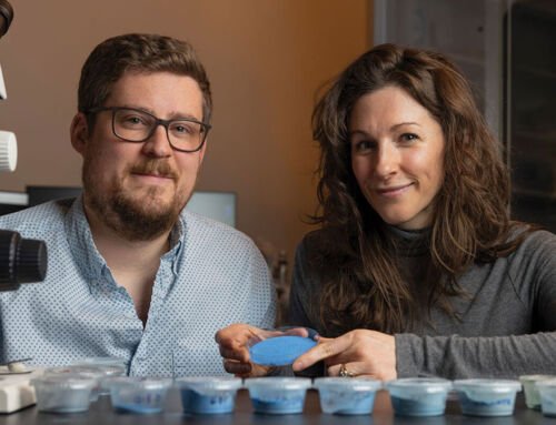 Egyptian blue, the lost pigment of the pharaohs