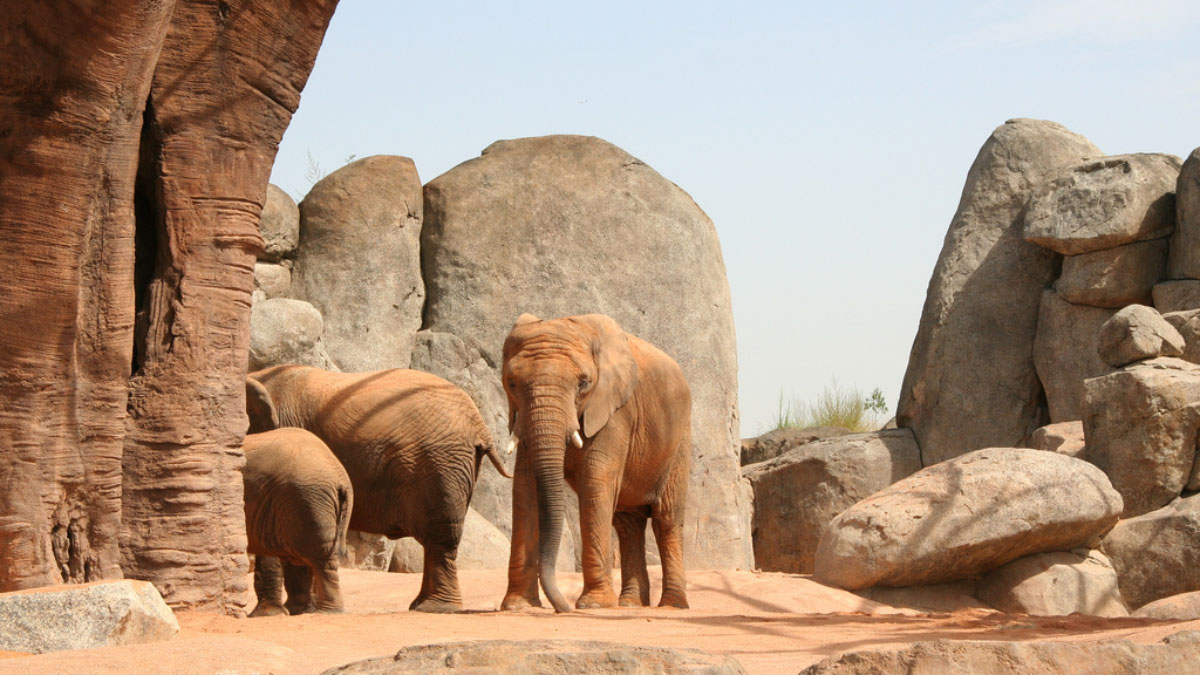 Artificial-rocks_-transformation-into-immersive-spaces-01 Artificial rocks; transformation into immersive spaces