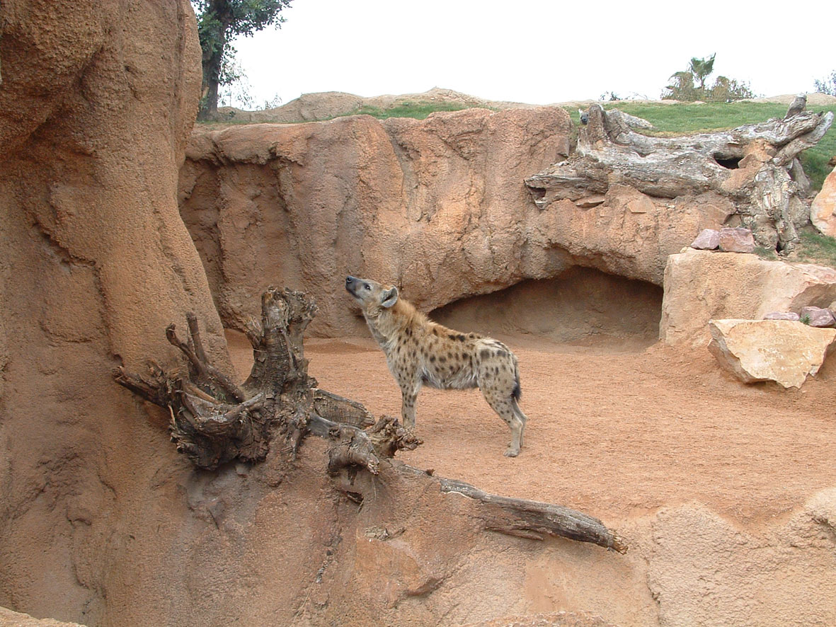 Artificial-rocks_-transformation-into-immersive-spaces-02