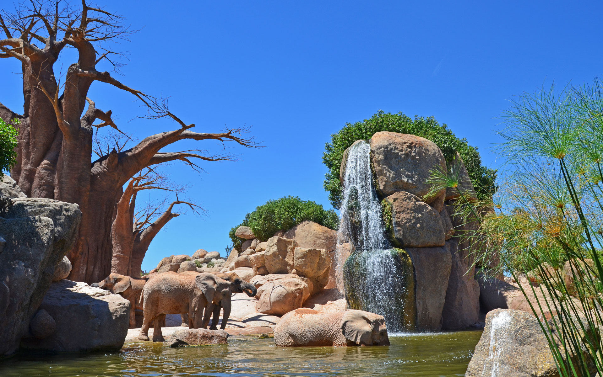 Artificial-rocks_-transformation-into-immersive-spaces-03