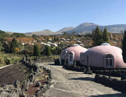 Unique tourism at Aso Farm Land