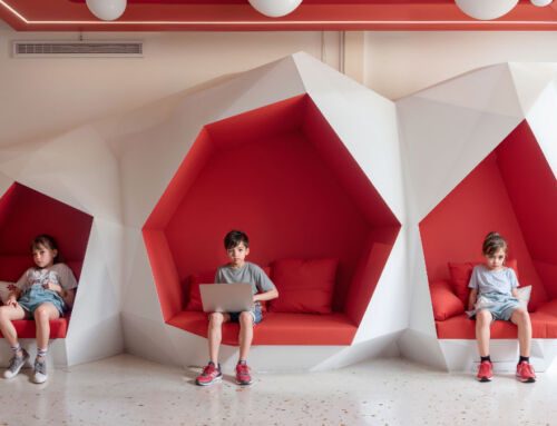 Playful geometries, educational architecture
