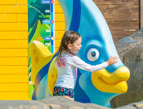 Theming; the art of creating experiences in leisure and tourism