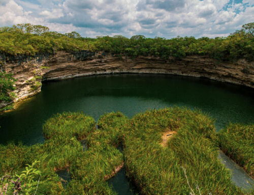 Natural pools vs. naturalised pools