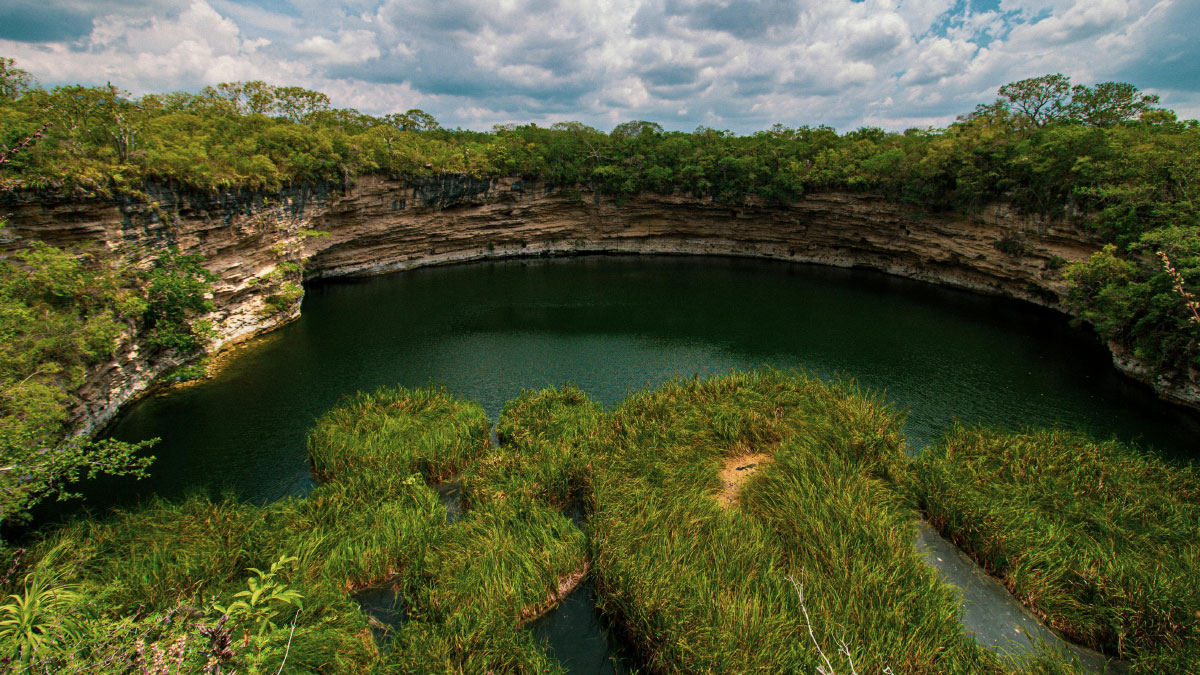 Natural pools vs. naturalised pools