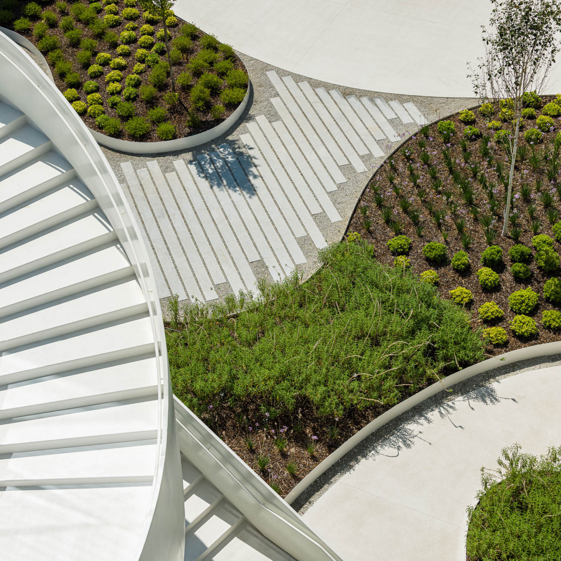 ORIENTE-GREEN-CAMPUS-7