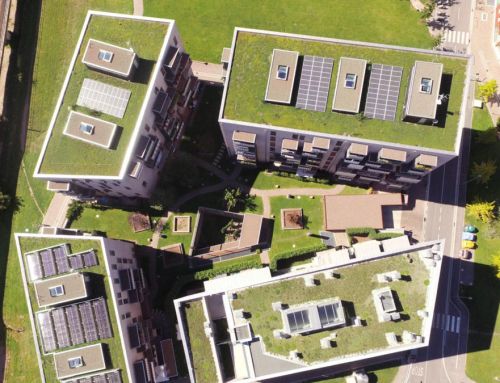 Green roofs: between trend and efficiency