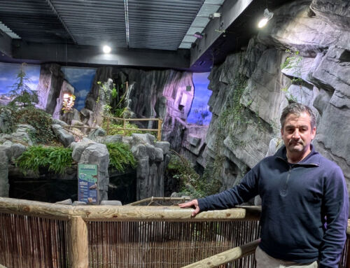Interview with Alejandro Beneit, General Manager of BIOPARC Aquarium of Gijón