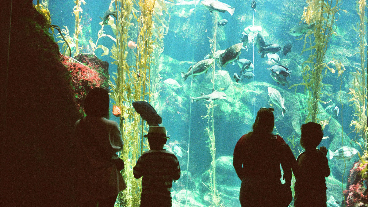 Progress on Abu Dhabi’s underwater marine museum project