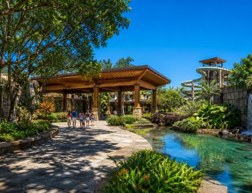 Biophilic design in water parks