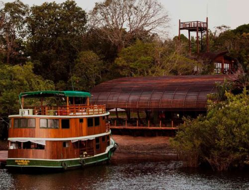 Hotels of the world: Mirante do Gavião Amazon Lodge, Novo Airão, Amazonas, Brazil