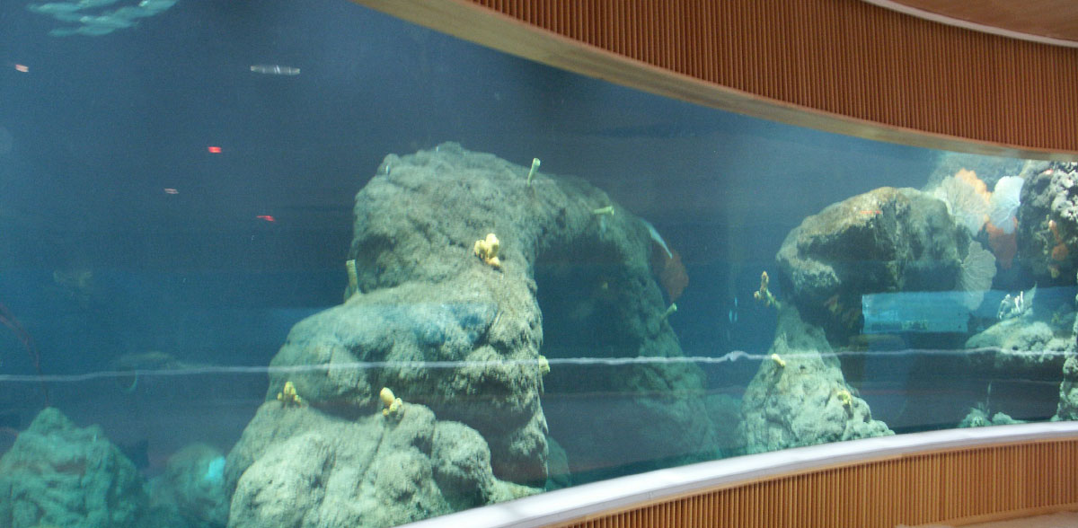OCEANOGRAFIC-04—RECORTADA