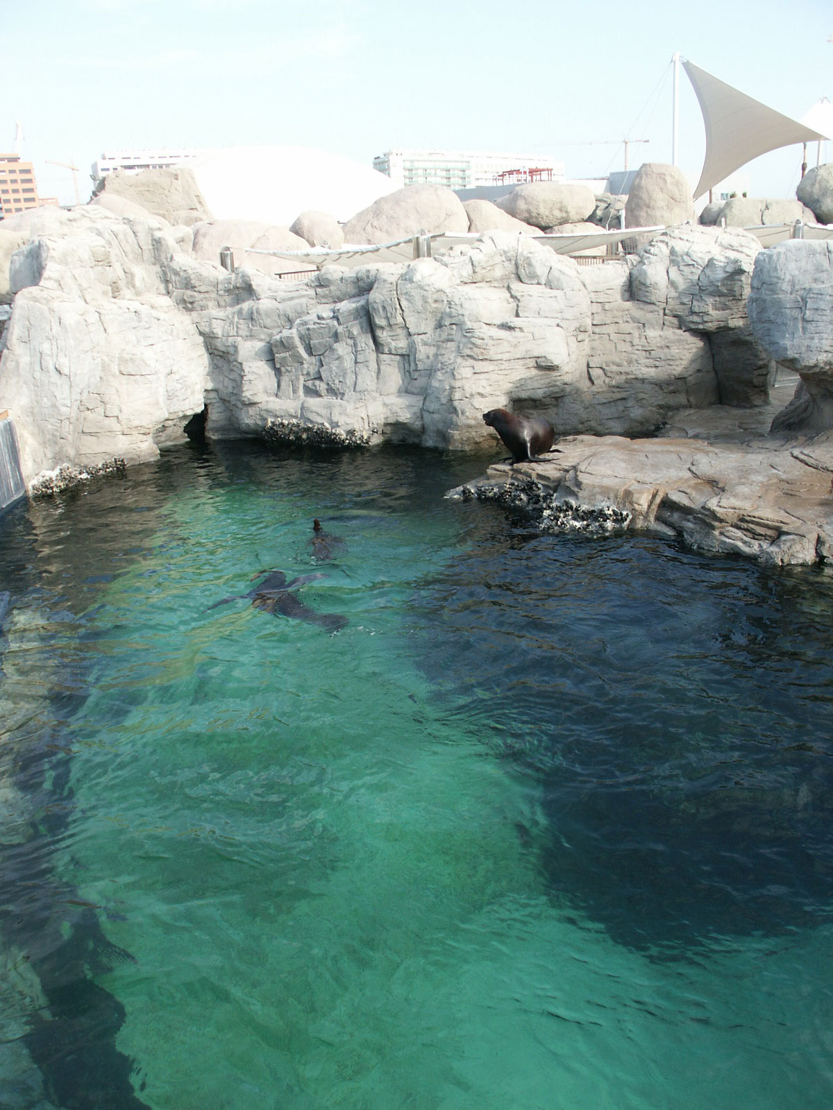 OCEANOGRAFIC-08