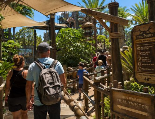 When the wait becomes the attraction at a theme park